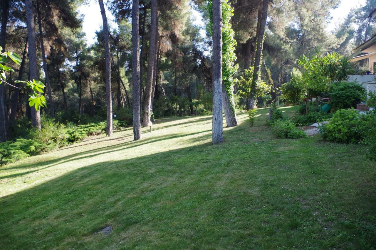 Beautiful Summerhouse In Sani'S Pine Forest Sani  Exterior foto