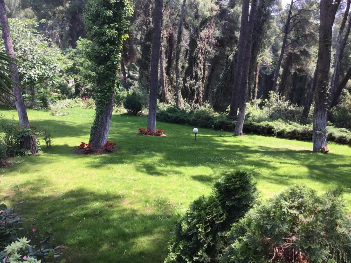 Beautiful Summerhouse In Sani'S Pine Forest Sani  Exterior foto
